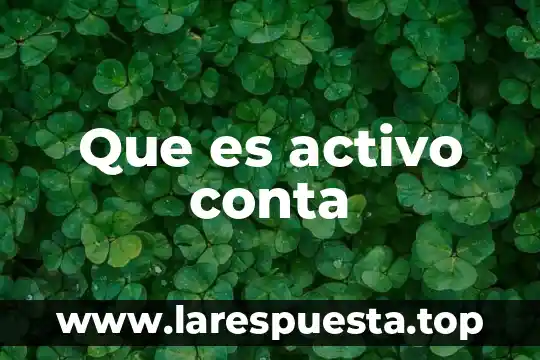 Que es conta electronica 5 Que es activo conta