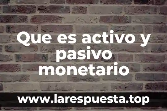 Que es activo y pasivo monetario