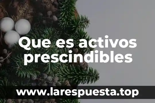 Sujetos R Activos que es 8 Que es activos prescindibles