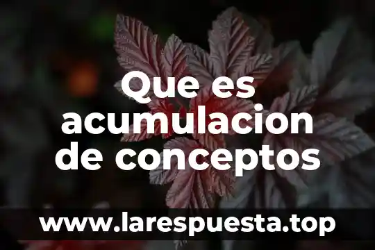 Que es cinematica y sus conceptos basicos 7 Que es acumulacion de conceptos