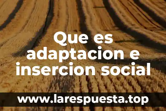 Que es adaptacion e insercion social