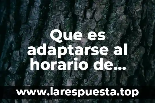 Que es adaptarse al horario de alguien mas