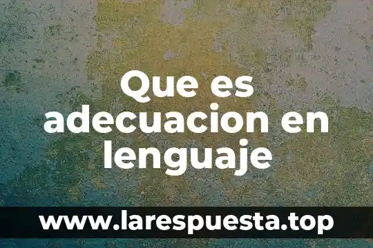 Que es adecuacion en lenguaje