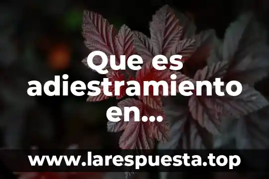 Por que es importante los recursos humanos mush galindo 5 Que es adiestramiento en administracion de recursos humanos