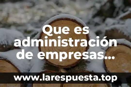 Que es administración de empresas significado
