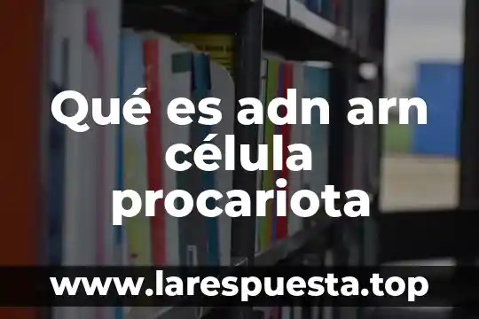 Investigar que es procariota 5 Qué es adn arn célula procariota