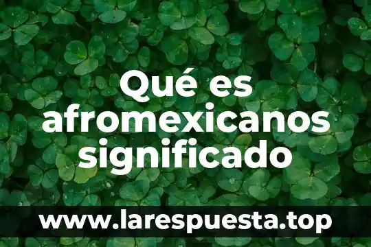 Qué es SMED significado 3 Qué es afromexicanos significado