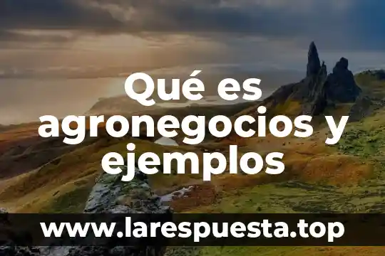 Ejemplos de estrategias que es 7 Qué es agronegocios y ejemplos