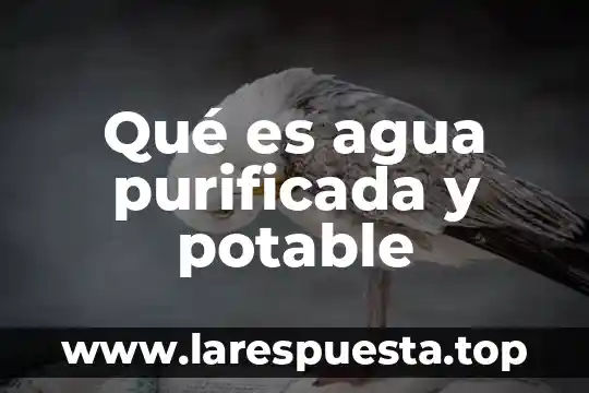 Que es cohesion en fisica del agua 7 Qué es agua purificada y potable