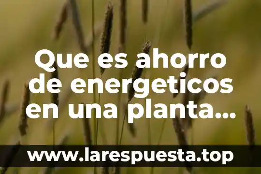 Que es ahorro de energeticos en una planta industrial