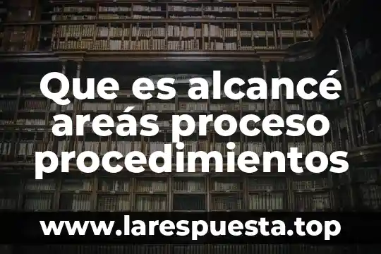 Que es un proceso alterno de reorganizacion 6 Que es alcancé areás proceso procedimientos