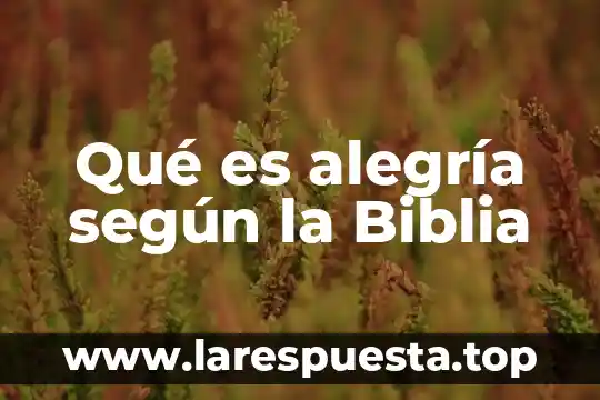 Qué es alegría según la Biblia