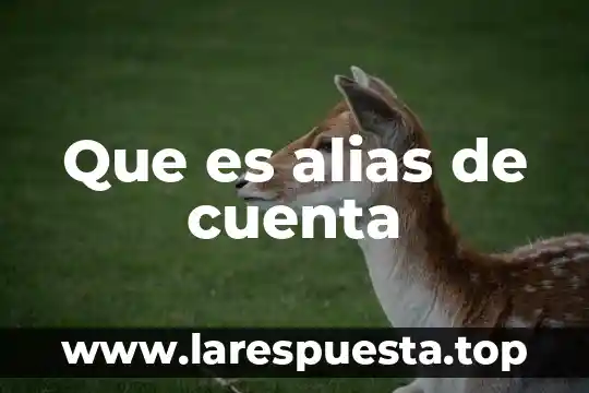 Que es alias de cuenta