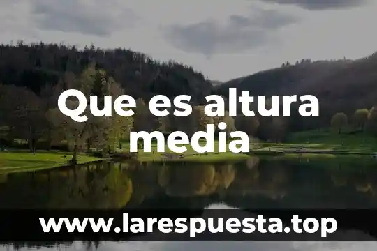 Que es como media negra 8 Que es altura media
