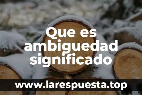 Que es ambiguedad significado