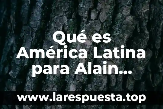 Que es el caso de la declinacion latina 5 Qué es América Latina para Alain Rouquié resumen