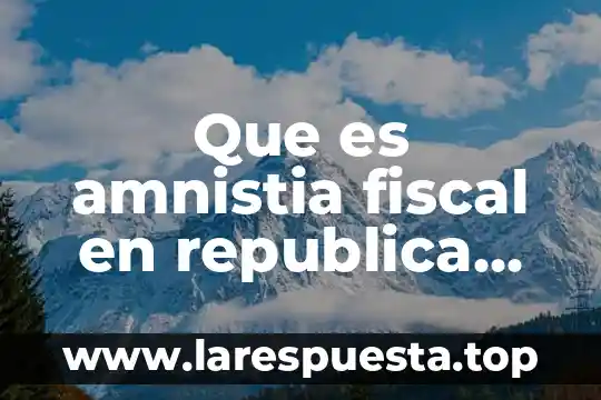 Que es republica como sistema de gobierno 8 Que es amnistia fiscal en republica dominicana