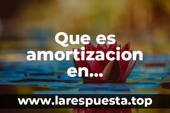 Que es un poligono matematicas 4 Que es amortizacion en matematicas