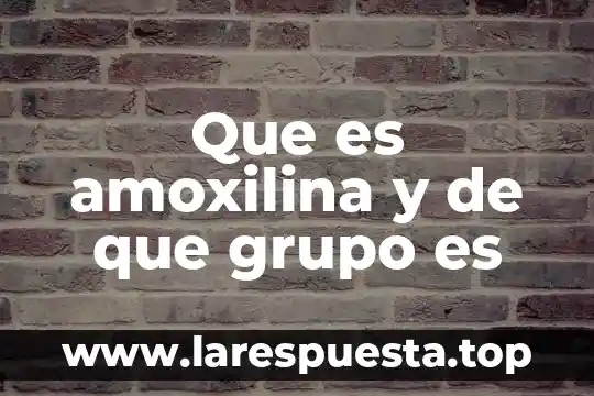 Que es amoxilina y de que grupo es