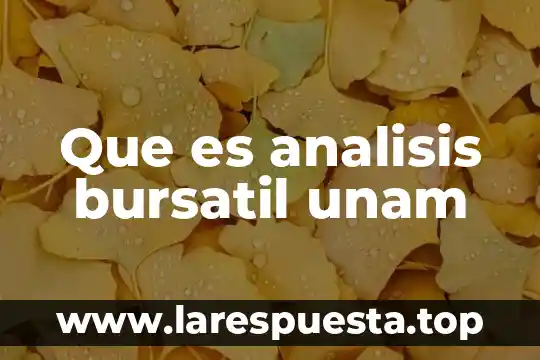Que es una bursatil en economia 8 Que es analisis bursatil unam