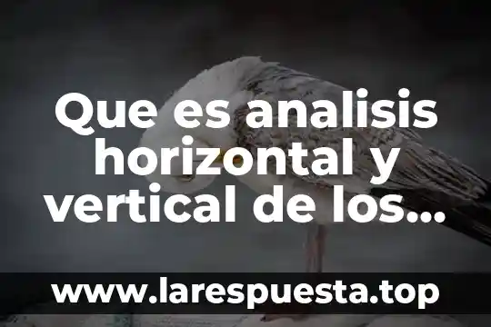 Que es analisis horizontal y vertical de los estados financieros