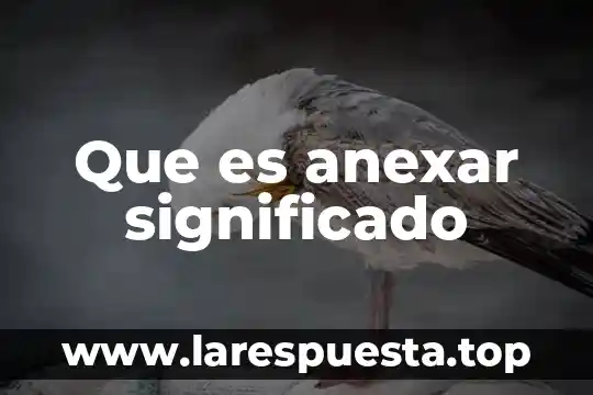 Que es anexar significado