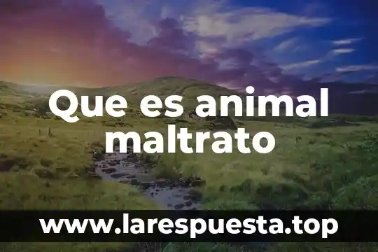 Que es animal maltrato