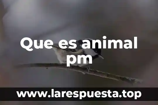Que es un capulin animal 5 Que es animal pm