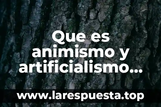 Que es animismo y artificialismo en el niño de preescolar