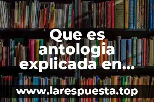 Que es una red conceptual y como se elabora 3 Que es antologia explicada en un mapa conceptual
