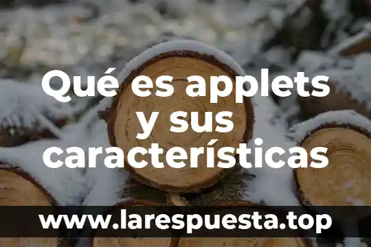 Que es e learning caracteristicas 6 Qué es applets y sus características