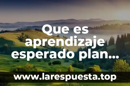 Que es la educacion integral plan de estudios 2011 5 Que es aprendizaje esperado plan de estudios 2011