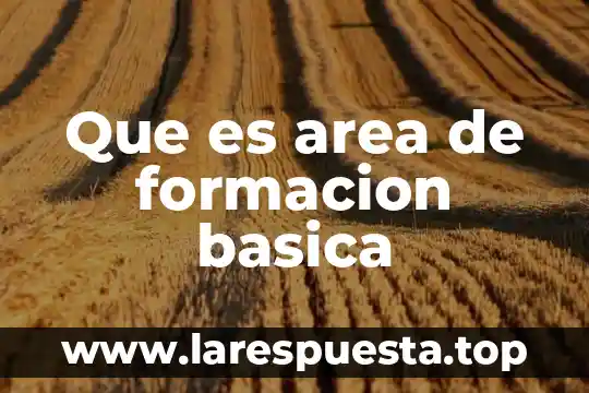 Qué es la animación básica en medios audiovisuales 8 Que es area de formacion basica