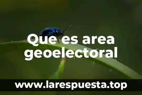 Que es area geoelectoral