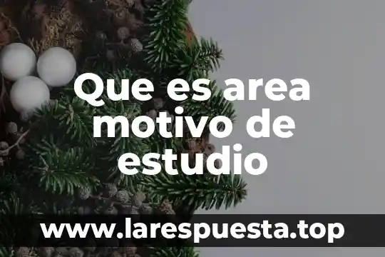 Que es area motivo de estudio