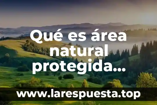 Que es areas natural protegida en el estado de oaxaca 5 Qué es área natural protegida Yahoo