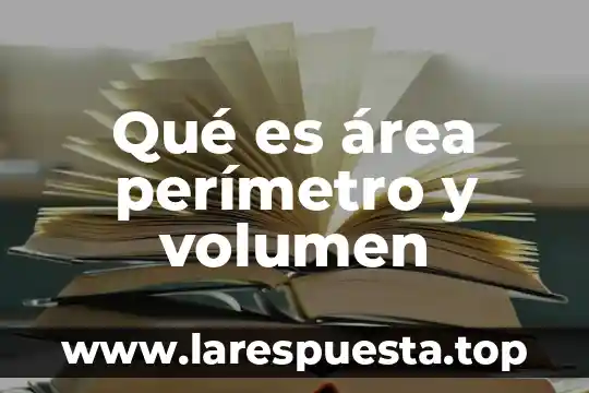 Qué es volumen perímetro y área 6 Qué es área perímetro y volumen