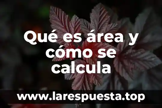 Qué es área y cómo se calcula