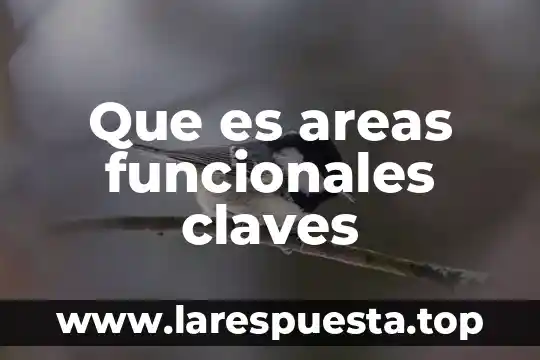 Que es areas funcionales claves