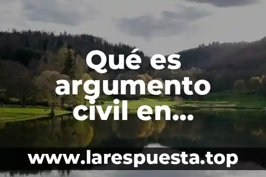 Qué es argumento civil en derecho