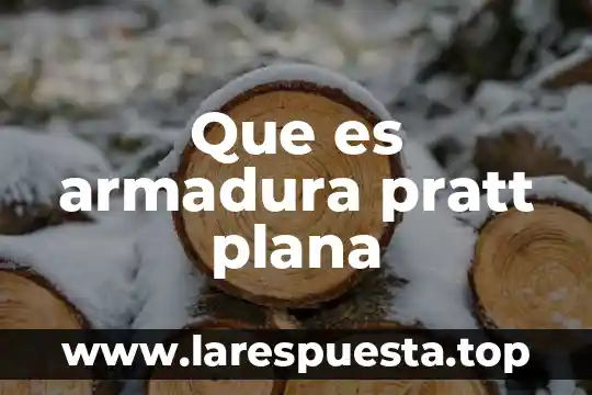Que es armadura pratt plana