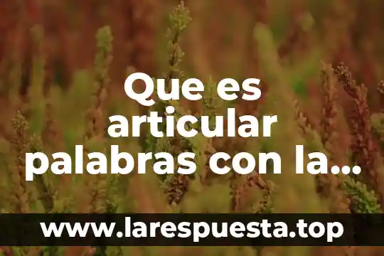 Que es la generalizacion de palabras 3 Que es articular palabras con la voz
