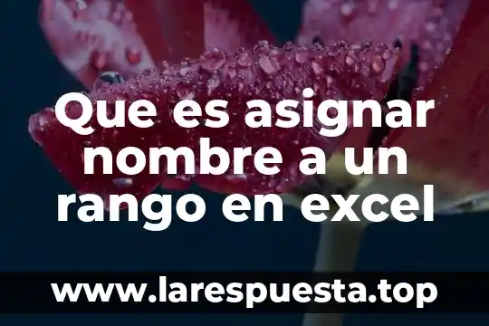 Que es asignar nombre a un rango en excel