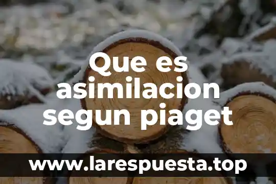 Que es asimilacion segun piaget