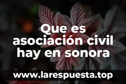 Qué es lider según la asociación psicología americana 7 Que es asociación civil hay en sonora