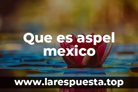 Que es el sistema de aspel banco 3 Que es aspel mexico