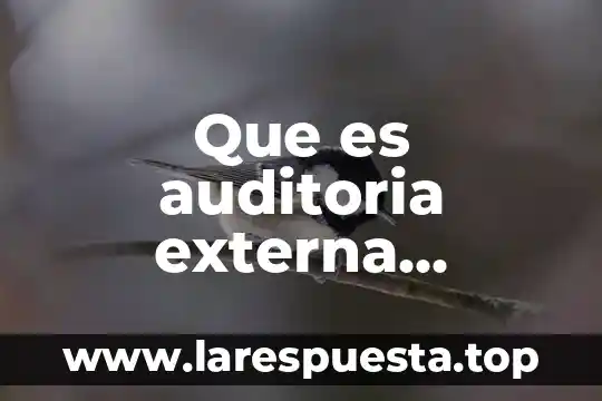 Que es una certificacion interna y externa 8 Que es auditoria externa organismo