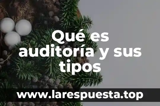 Urografia excretora que es tipos 4 Qué es auditoría y sus tipos