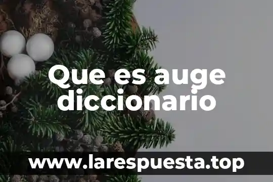 Qué es auge en economía 5 Que es auge diccionario
