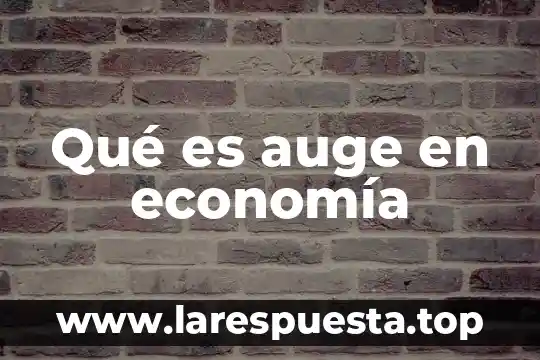 Que es auge diccionario 5 Qué es auge en economía